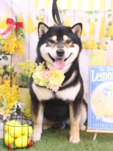 20240414ココくん